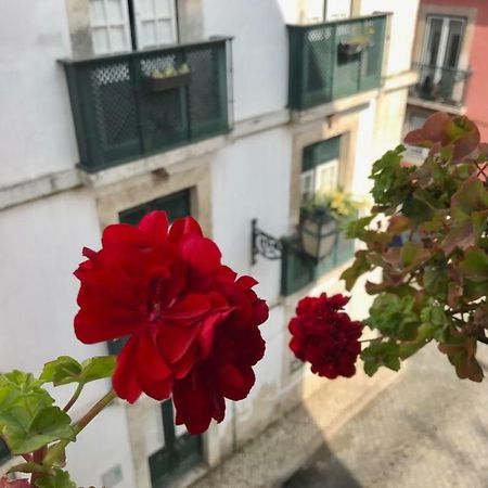 In The Heart Of Lisbon Lejlighed Eksteriør billede